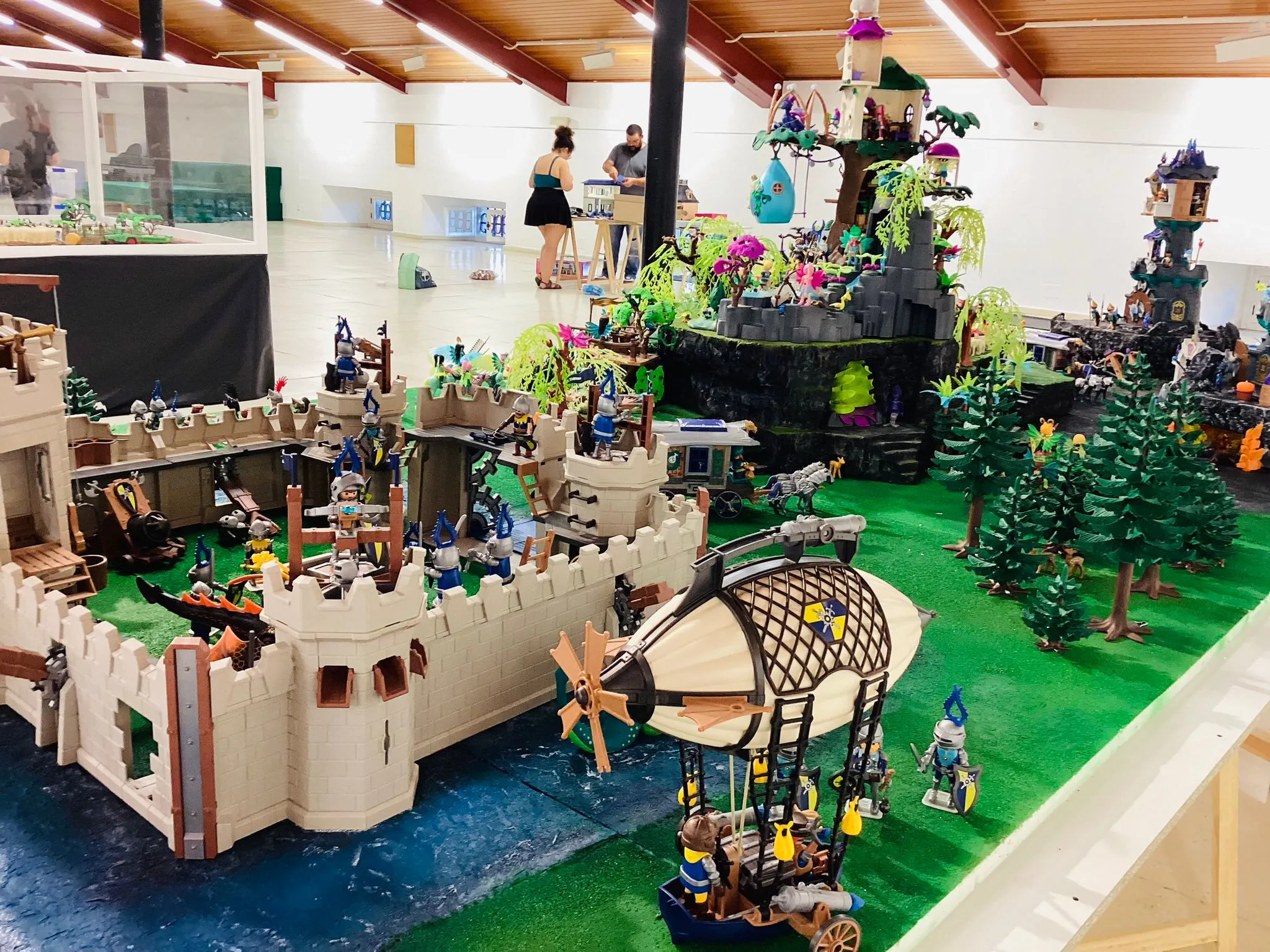 Los caballeros de Novelmore, los magos y las hadas